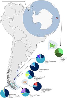 From Settlers to Subspecies: Genetic Differentiation in Commerson’s Dolphins Between South America and the Kerguelen Islands